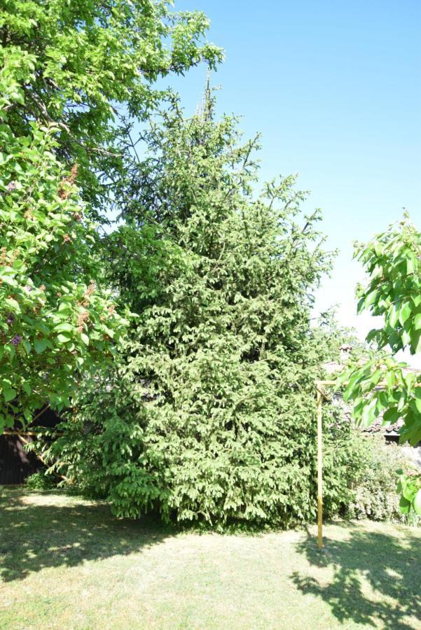 Guest House Astra Arbanasi Exterior photo